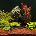 JBL - Substrat Sol Naturel Manado pour Aquarium - 5L image number null