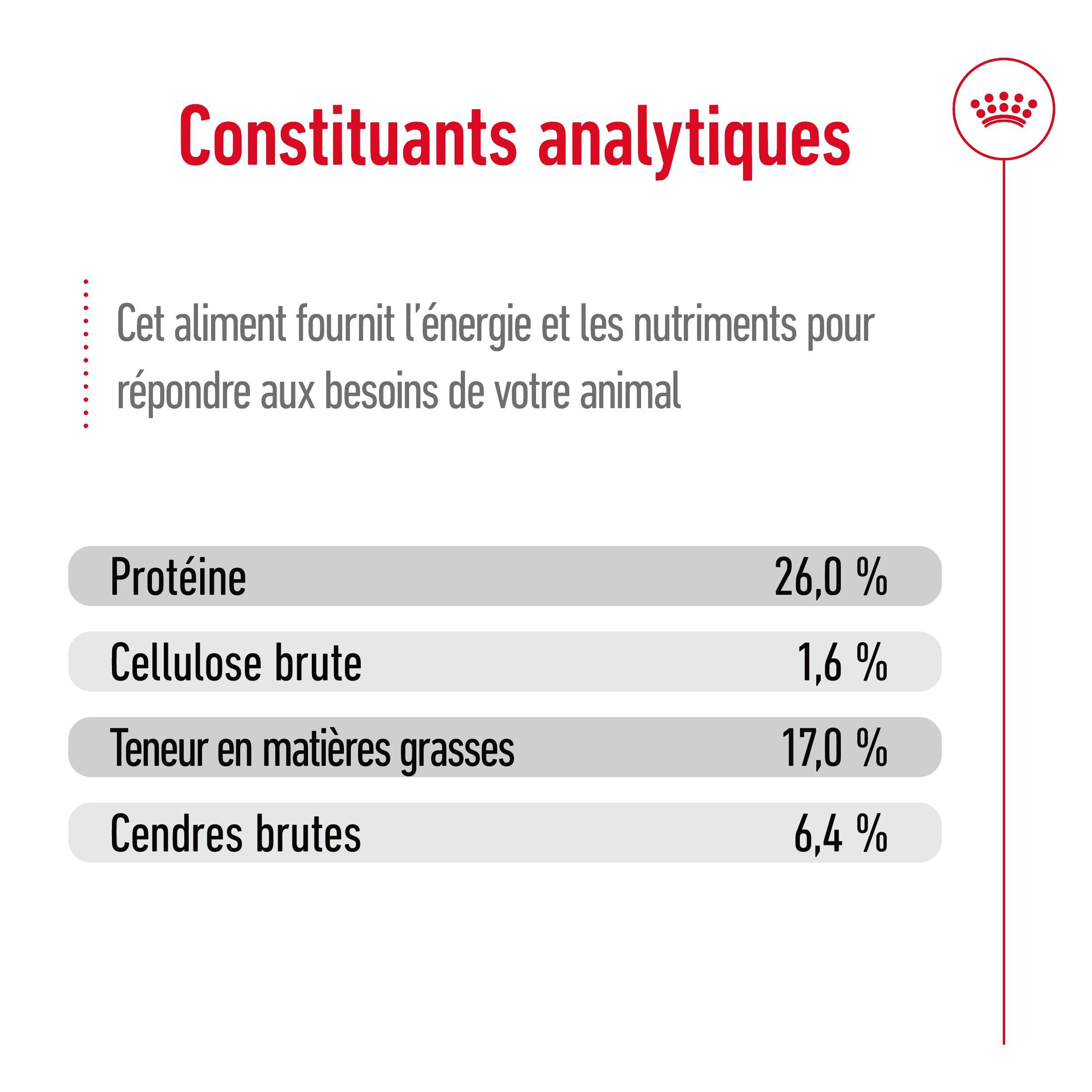 Royal Canin - Croquettes Maxi Adult 5+ pour Grand Chien - 4Kg Image num&eacute;ro 9