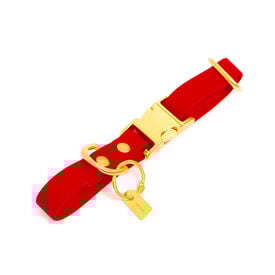 Pop Dog - Collier Diablotin Rouge pour Chien