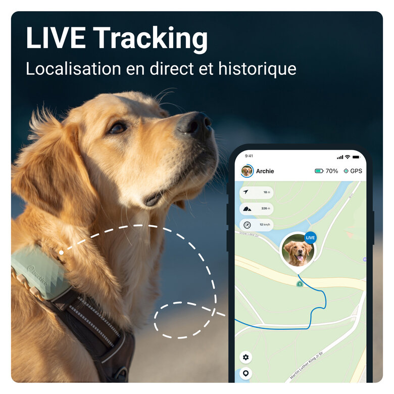 Tractive - Traceur GPS DOG pour Chiens - XL Image numéro 3 Tractive - Traceur GPS DOG pour Chiens - XL Image numéro 3