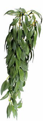 Exo Terra - Feuillage Décoratif Ruscus Plante pour Terrarium - 41cm