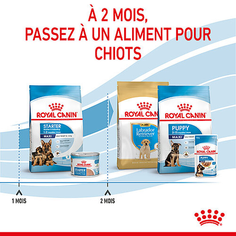 Royal Canin - Croquettes Starter Mother & Babydog Maxi - 4Kg Image numéro 6 Royal Canin - Croquettes Starter Mother & Babydog Maxi - 4Kg Image numéro 6