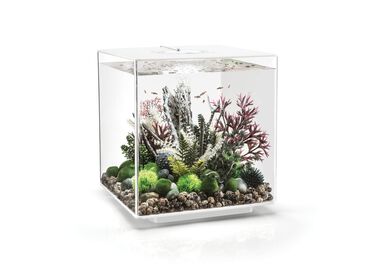 biOrb - Aquarium Cube 60 mcr blanc