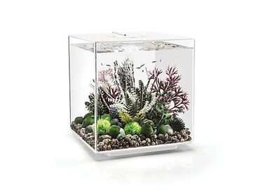 biOrb - Aquarium Cube 60 mcr blanc