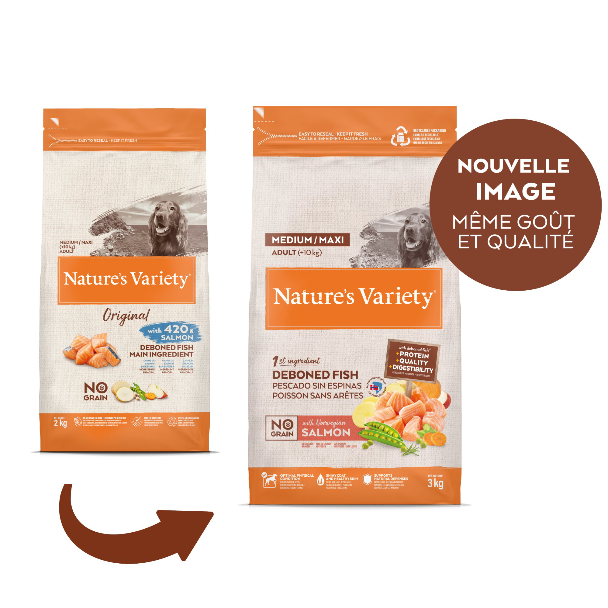Nature's Variety - Croquettes No Grain Adulte Au Saumon Pour Chiens - 3kg Image num&eacute;ro 1