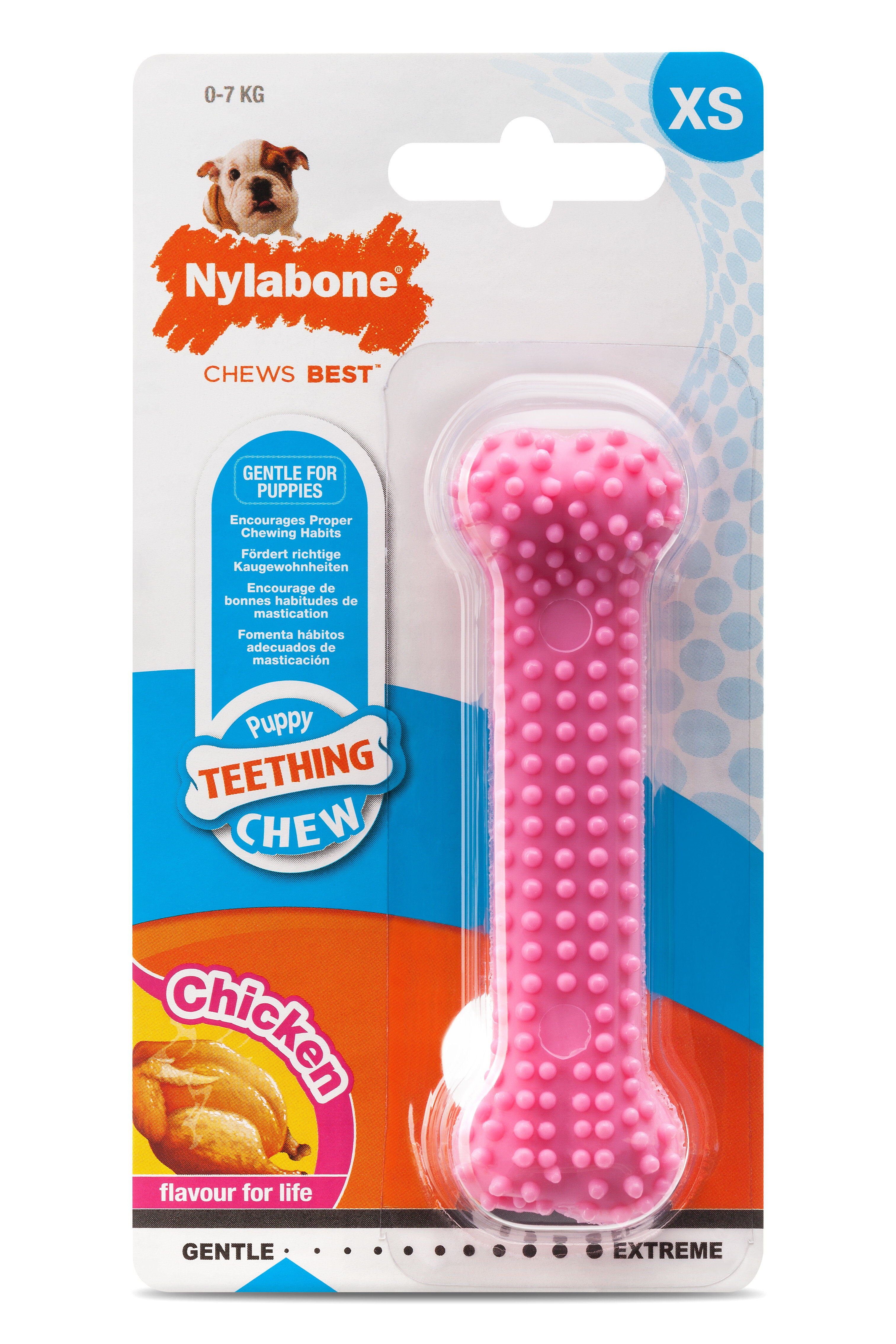 Nylabone - Jouet &agrave; M&acirc;cher Puppy Dental Bone XS - Rose Image num&eacute;ro 1