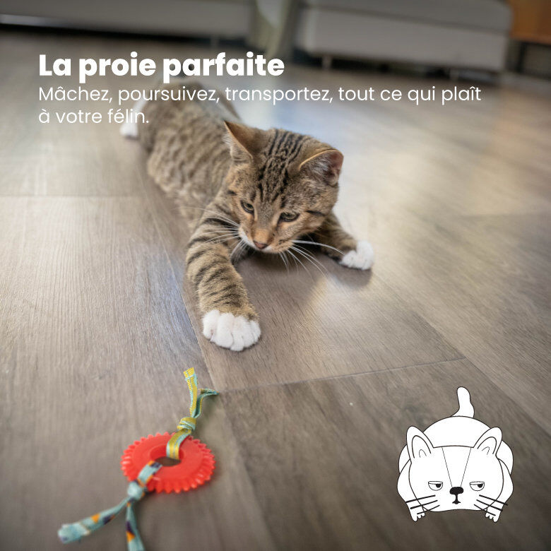 Outward Hound - Jouet &agrave; M&acirc;cher Kitty Chew Wheel pour Chats Image num&eacute;ro 6