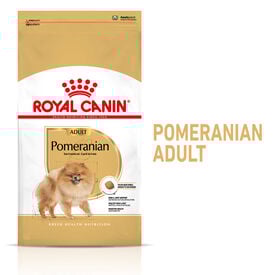 Royal Canin - Croquettes Adult Spitz Nain Pour Chien