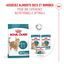 Royal Canin - Croquette Ageing 11+ pour Chats Senior - 400g Indicateur image numéro 8