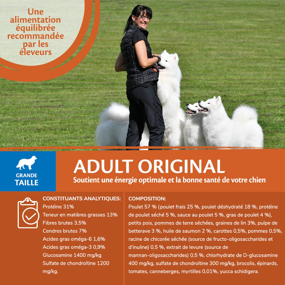 Wellness - Croquettes Large Breed Original Au Poulet Pour Chiens - 10Kg Image num&eacute;ro 3