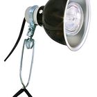 Zoomed - Réflecteur Ampoule Deluxe Porcelain Clamp Lamp pour Terrarium - 100W image number null