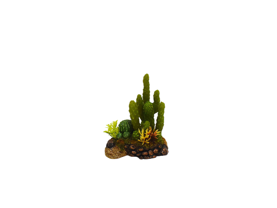 Amtra - D&eacute;coration Mexico Cactus 5 pour Aquarium Image num&eacute;ro 1
