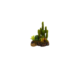 Amtra - D&eacute;coration Mexico Cactus 5 pour Aquarium