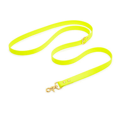 Pop Dog - Laisse Bandoulière Joyeux Jaune pour Chien - M/L