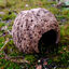 Eublepharis - Cachette Kabuto pour Reptiles - 12cm Indicateur image numéro 7