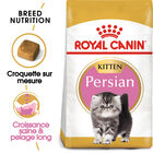 Royal Canin - Croquettes Persian Kitten pour Chatons - 2Kg image number null