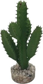 Labeo - Succulente moyen modèle Plante Artificielle Aquarium et Terrarium