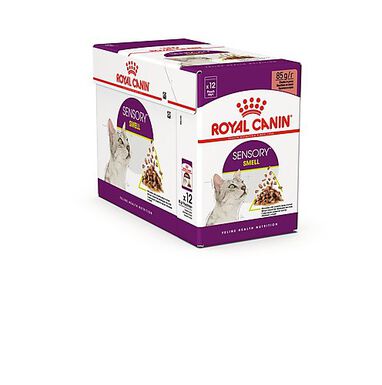 Royal Canin - Pâtée Sensory Smell en Sauce pour Chat - 12x85g