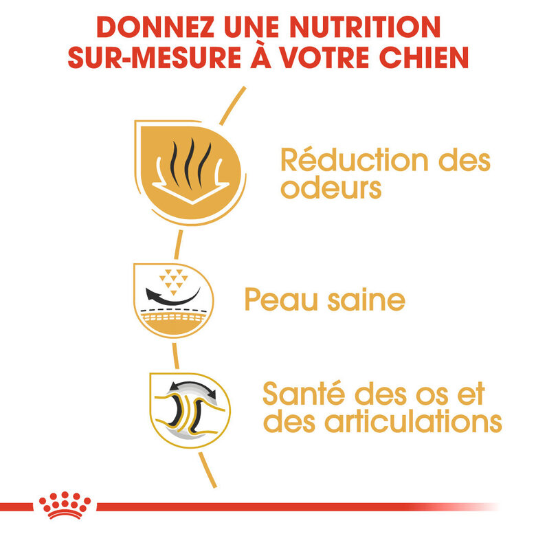 Royal Canin - Croquettes Bulldog Adult pour Chiens - 3Kg Image numéro 4 Royal Canin - Croquettes Bulldog Adult pour Chiens - 3Kg Image numéro 4