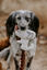 Hunter - Jouet Peluche Barry Forme de Chiens - 16cm Indicateur image numéro 2