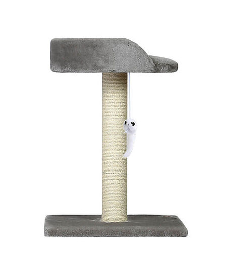 Animalis - Arbre à Chat Poteau avec Sofa - Gris image number null