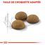 Royal Canin - Croquettes Indoor Long Hair pour Chat - 4Kg Indicateur image numéro 4