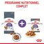 Royal Canin - Sachets Appetite Control Care en Sauce pour Chat - 12x85g Indicateur image numéro 6