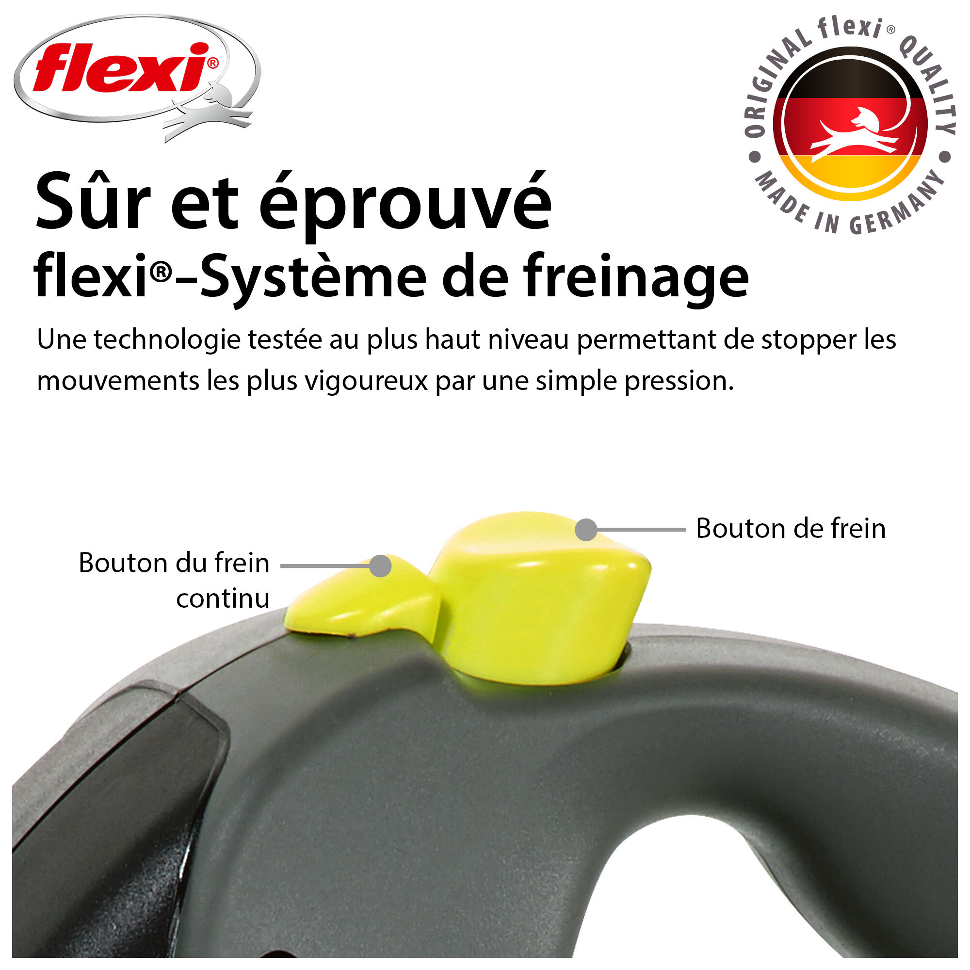 Flexi - Laisse Giant avec Sangle de 8m pour Chien M - Reflect Image num&eacute;ro 4