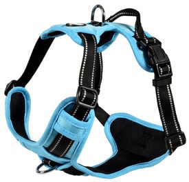 Bobby - Harnais Rando Walk Bleu pour Chiens