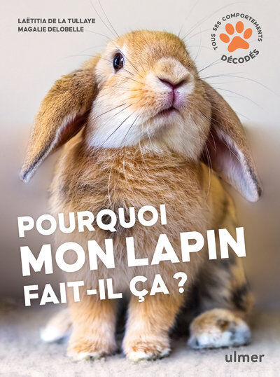 Pourquoi mon lapin fait-il &ccedil;a ? Image num&eacute;ro 1