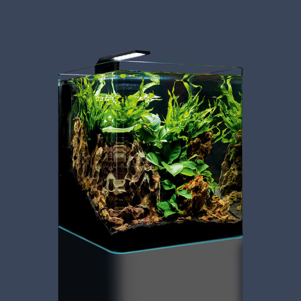 Dennerle - Mini Aquarium Nano Cube Complete - 30L Image num&eacute;ro 2