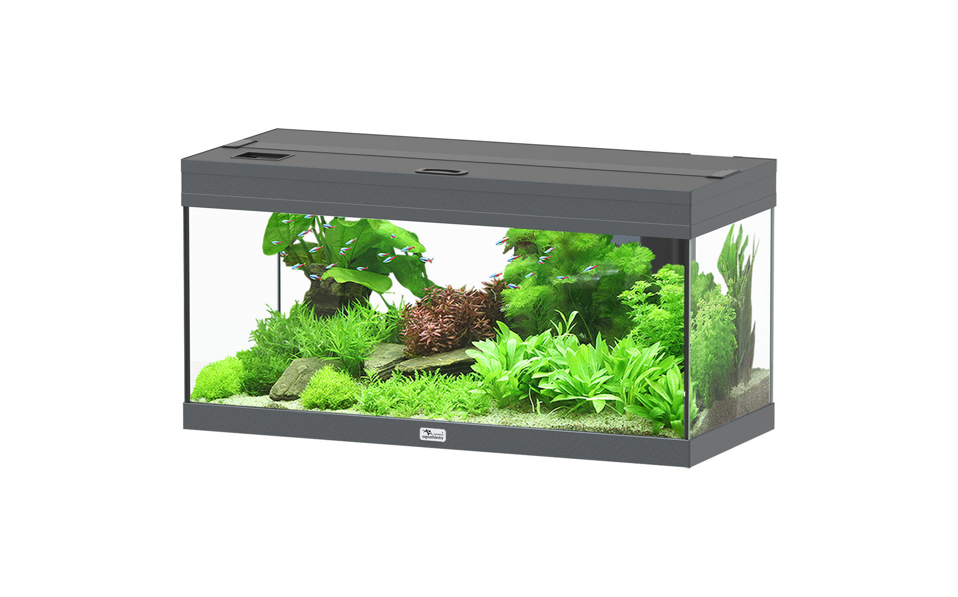 Aquatlantis - Aquarium Prestige 80 - Gris Anthracite Led 2.0 EQP Image num&eacute;ro 1