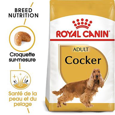 Royal Canin - Croquettes Cocker pour Chien Adulte