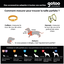 Gotoo - Laisse Essentials en Nylon pour Chien - Noir Indicateur image numéro 5