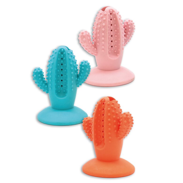 Croci - Jouet Gomme Cactus Ventouse pour Chiens Image numéro 1 Croci - Jouet Gomme Cactus Ventouse pour Chiens Image numéro 1