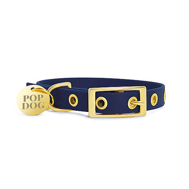 Pop Dog - Collier Patapouf Œillets Bleu pour Chiens - S