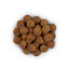 Hill's Prescription Diet - Croquettes J/D Reduced Calorie Poulet pour Chien - 12Kg Indicateur image numéro 3