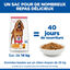 Hill's Science Plan - Mature Adult Light Croquettes Pour Chien Ag&eacute; Au Poulet  - 12kg Indicateur image num&eacute;ro 12