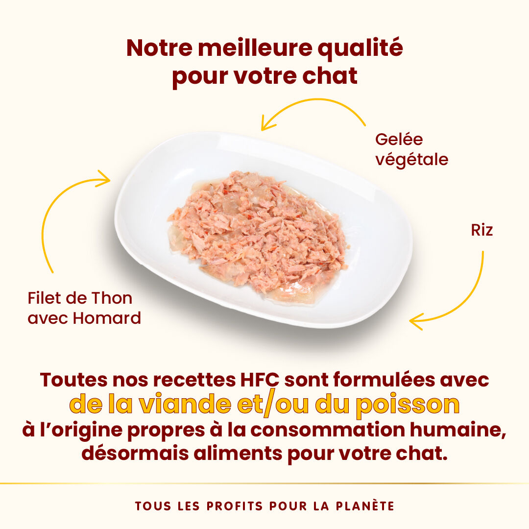 Almo Nature - P&acirc;t&eacute;e Hfc Jelly Filet De Thon Et Homard - 55g Image num&eacute;ro 3