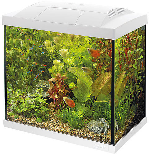 Superfish - Aquarium Start 50 Tropical Kit - Blanc Image num&eacute;ro 1