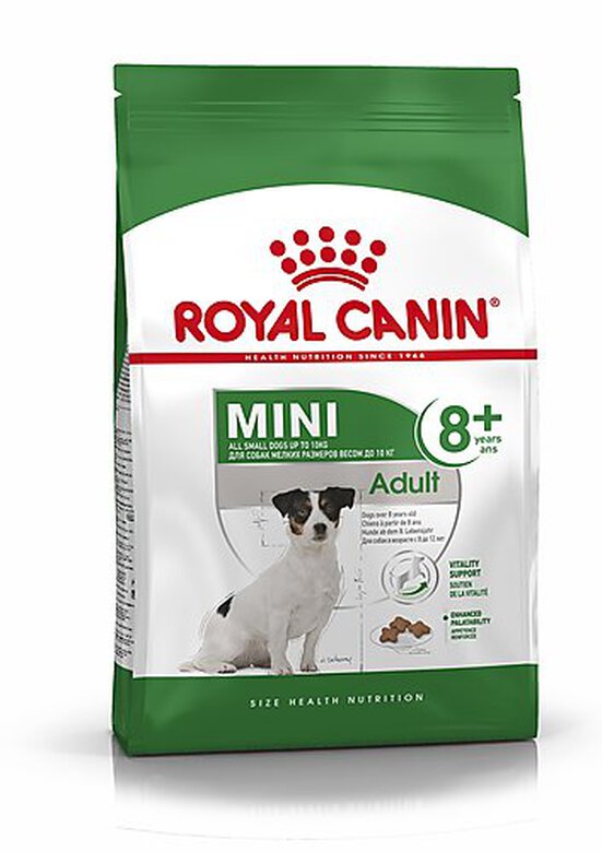 Royal Canin - Croquettes Mini 8+ pour Chien Adulte image number null