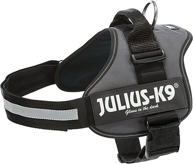 Julius-K9 - Harnais XL pour Chien - Anthracite