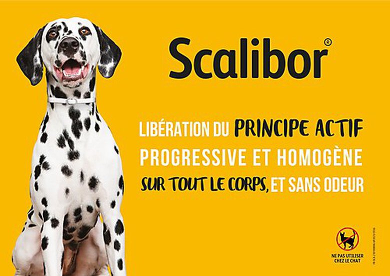 Scalibor - Collier Antiparasitaire pour Petit et Moyen Chien - 48cm image number null