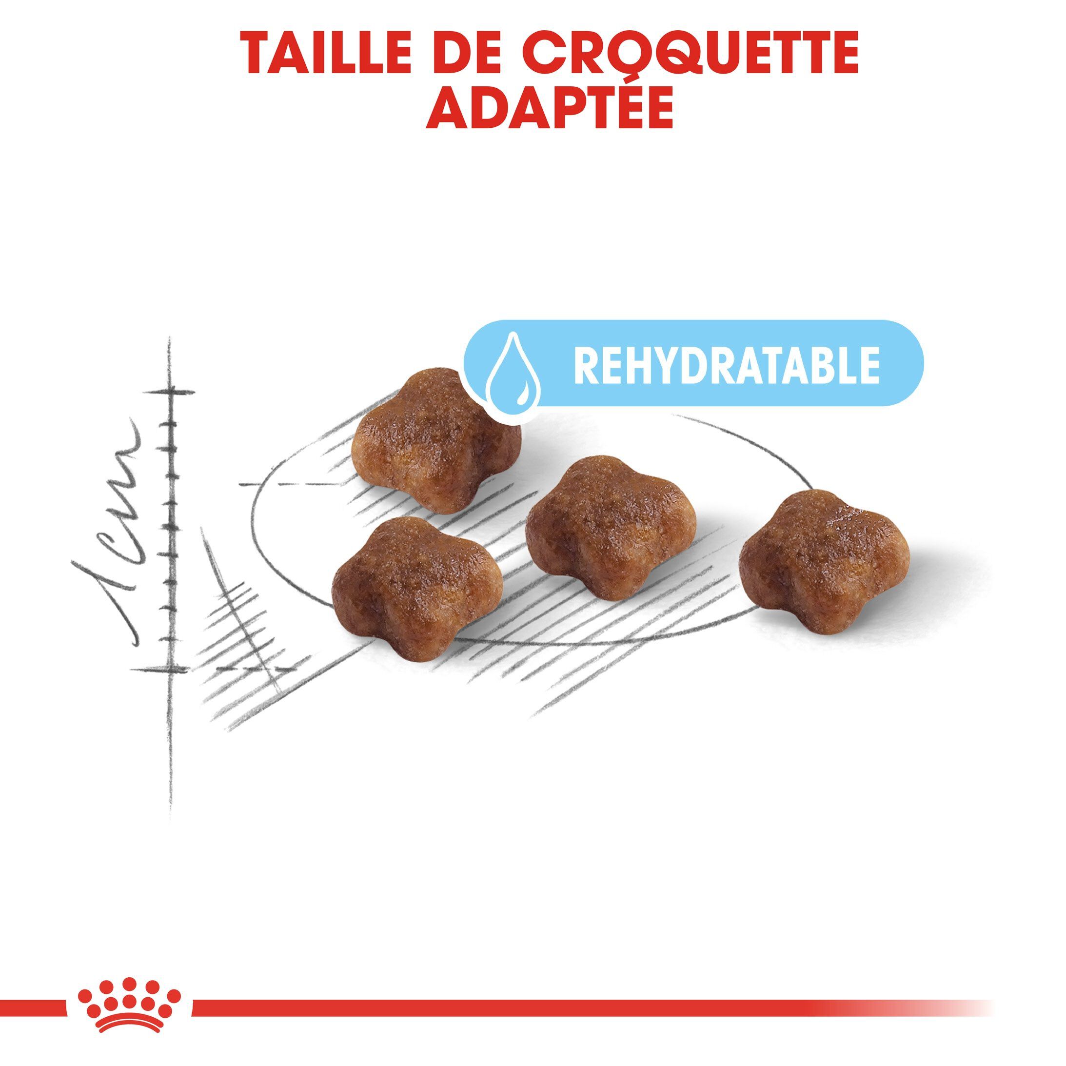 Royal Canin - Croquettes Mother & Babycat pour Chaton - 4Kg Image num&eacute;ro 5
