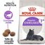Royal Canin - Croquettes Sterilised 7+ pour Chat Senior - 10Kg Indicateur image numéro 2