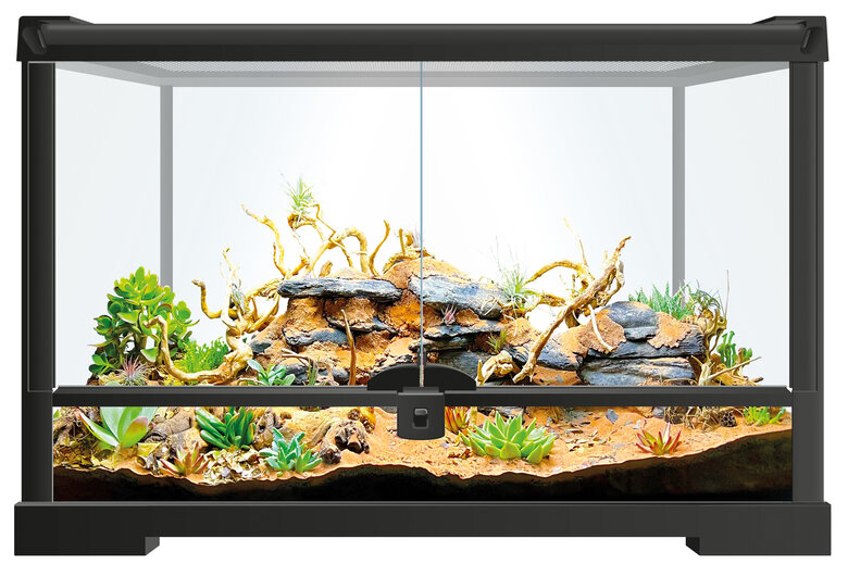 Repto - Terrarium Universel Terra Earth S - 51x25x30cm Image numéro 2 Repto - Terrarium Universel Terra Earth S - 51x25x30cm Image numéro 2