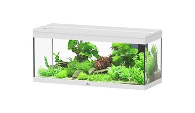 Aquatlantis - Aquarium Prestige 100 - Blanc Led 2.0 EQP