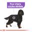 Royal Canin - Croquettes Maxi Sterilised pour Chien Adulte Stérilisé - 3Kg Indicateur image numéro 3