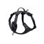 Kyflie - Harnais de promenade MOMENTUM Noir pour Chien - XS Indicateur image numéro 1