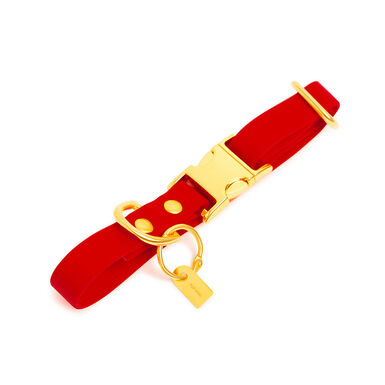 Pop Dog - Collier Diablotin Rouge pour Chien